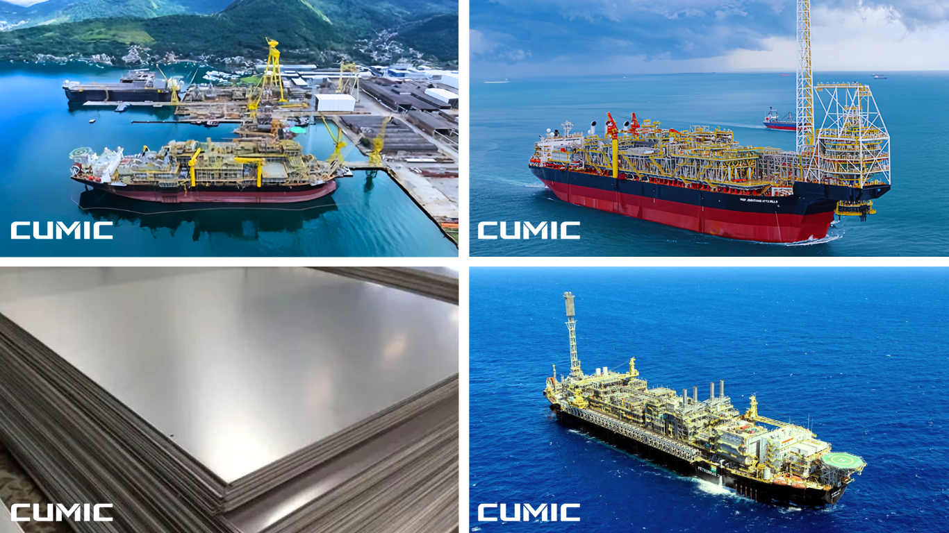 FPSOs for the Brazil Offshore Oil Field